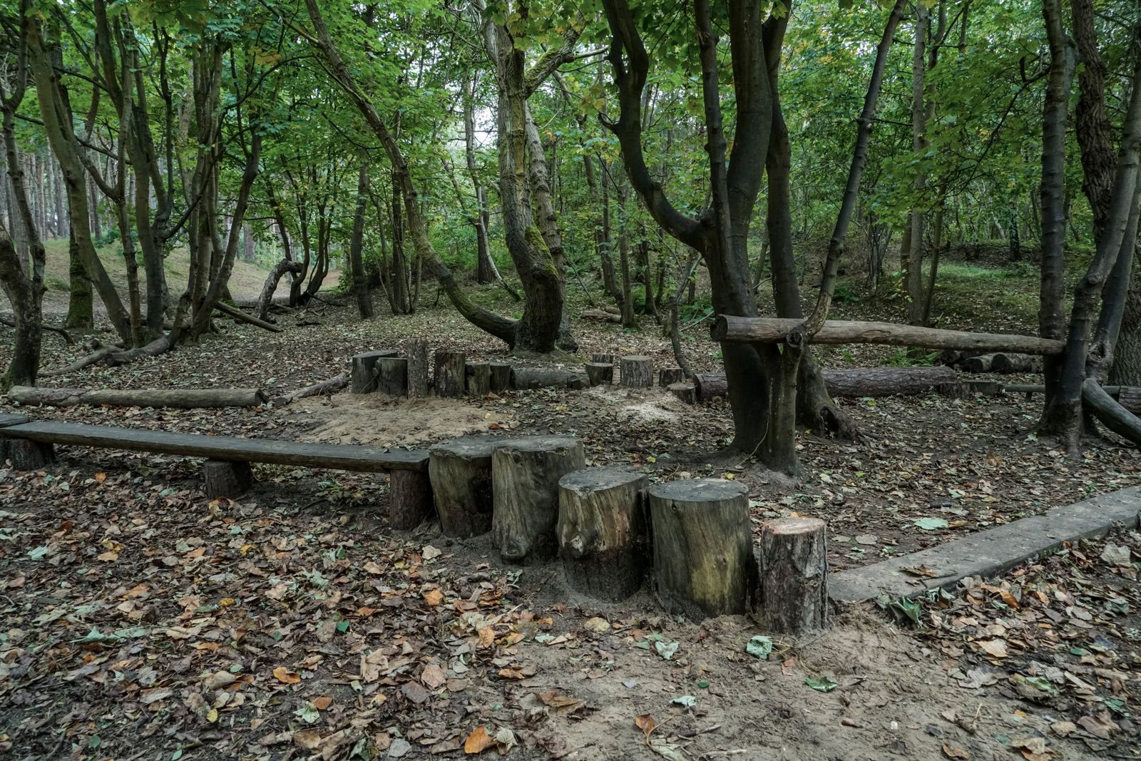 Rincón del bosque con bancos de troncos